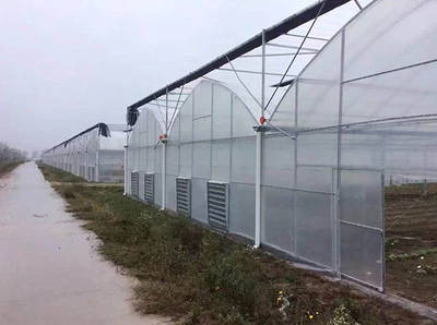 冬日温室大棚湿度管理策略 从被动调控到精准掌控