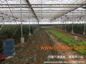 温室大棚 玻璃温室 蔬菜温室,温室大棚 玻璃温室 蔬菜温室生产厂家,温室大棚 玻璃温室 蔬菜温室价格