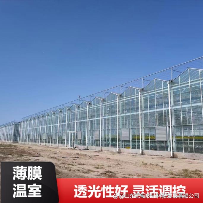 湖北温室大棚建设开启高效农业新篇章
