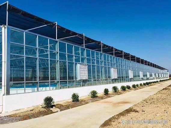 江苏温室大棚施工厂家:选对服务与建造要点全解析