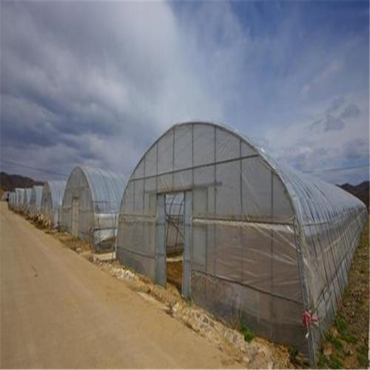 蔬菜育苗大棚 盘锦建蔬菜温室的厂家 旭航