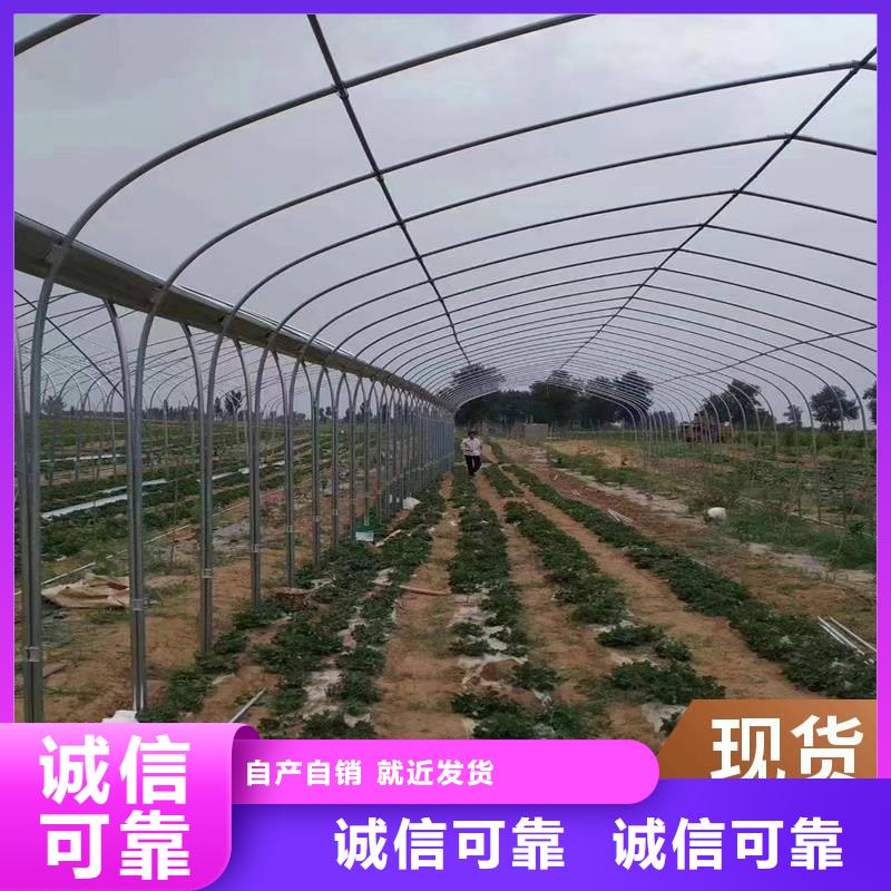 蔬菜大棚安装|拉萨温室大棚|蔬菜水产养殖花卉育苗智能工厂|大棚卡槽-市场服务地域含林周|尼木|林芝|昌都(更新时间:2025-10-28 05:50:17)